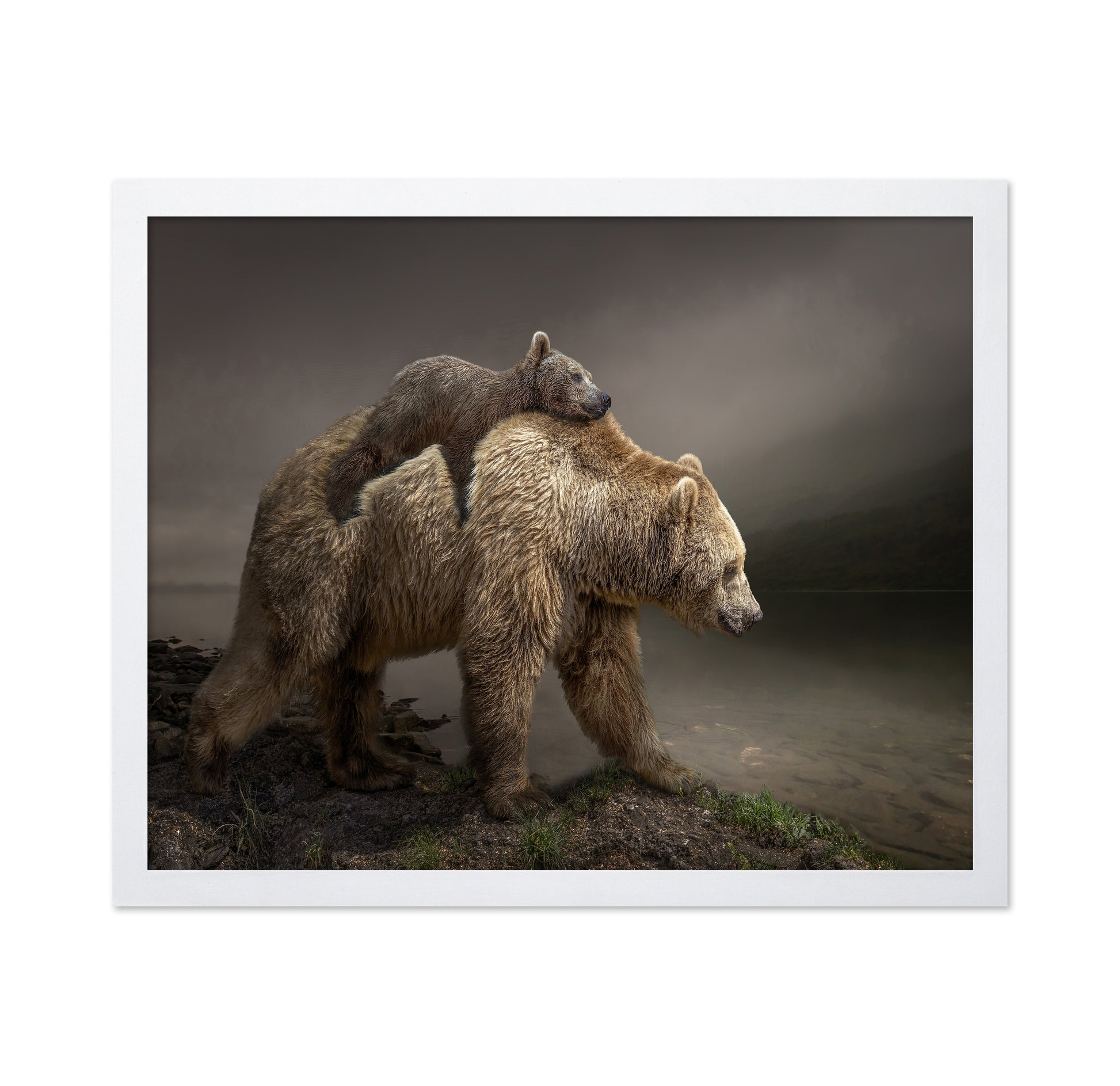 Bear Cub Ride