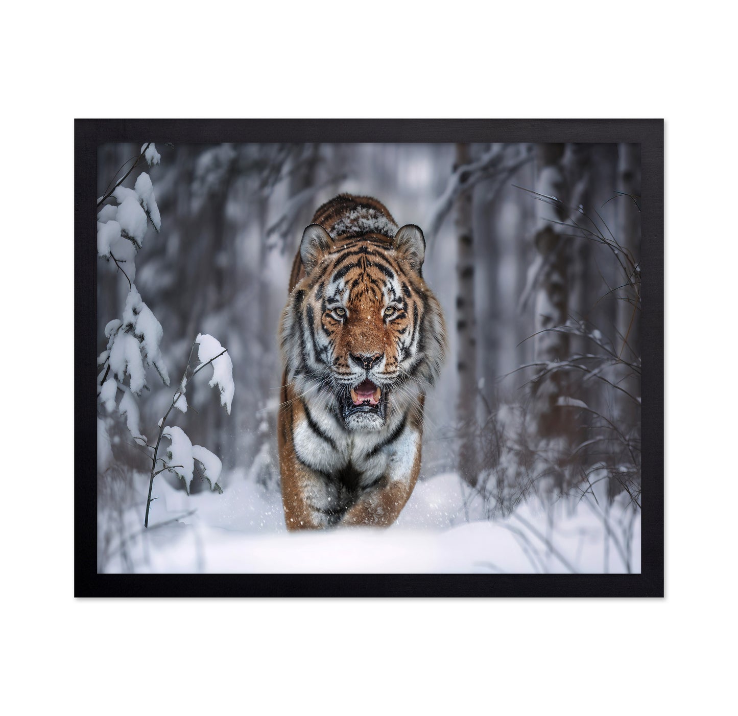 Tiger In Snow