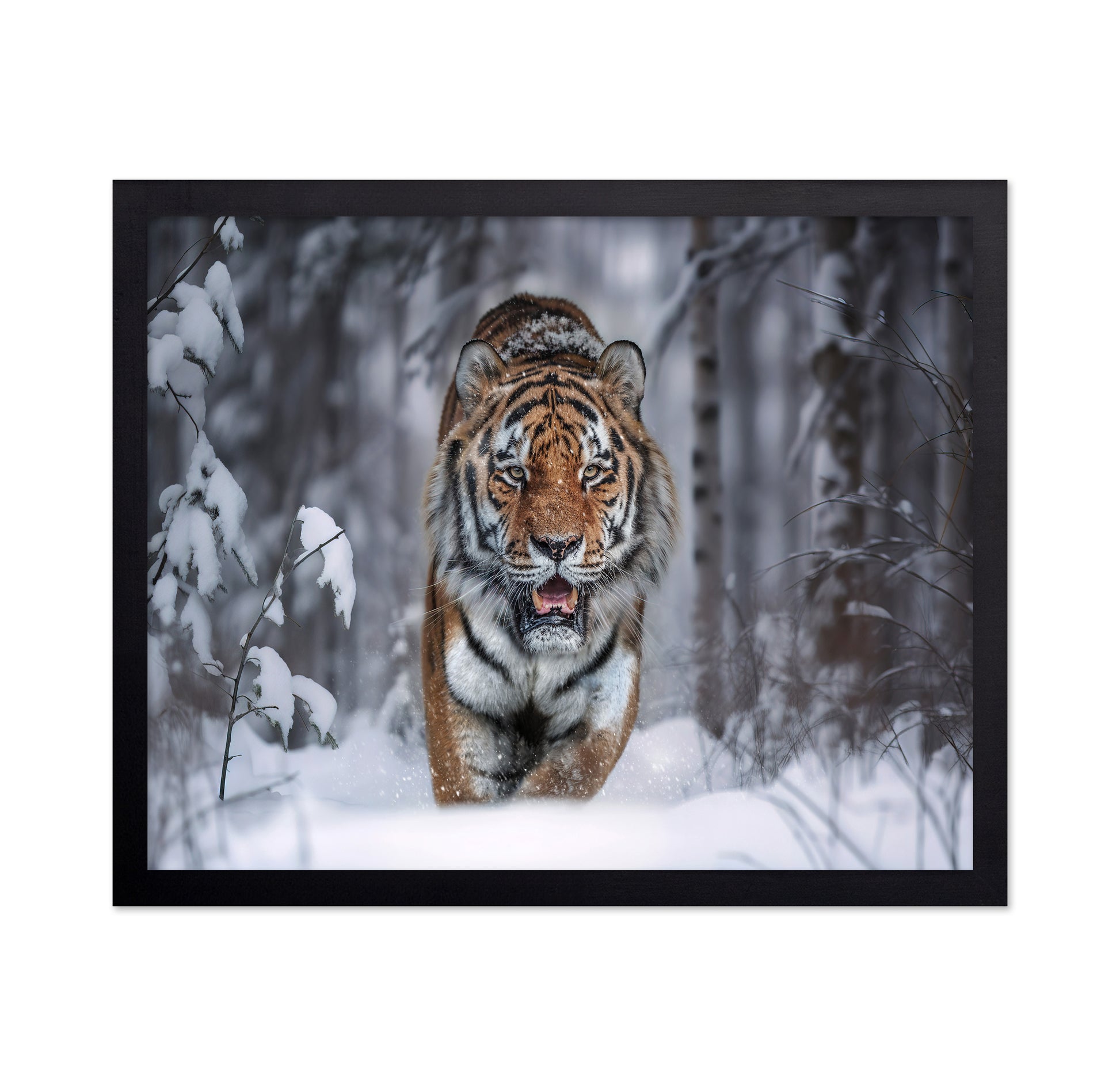 Tiger In Snow