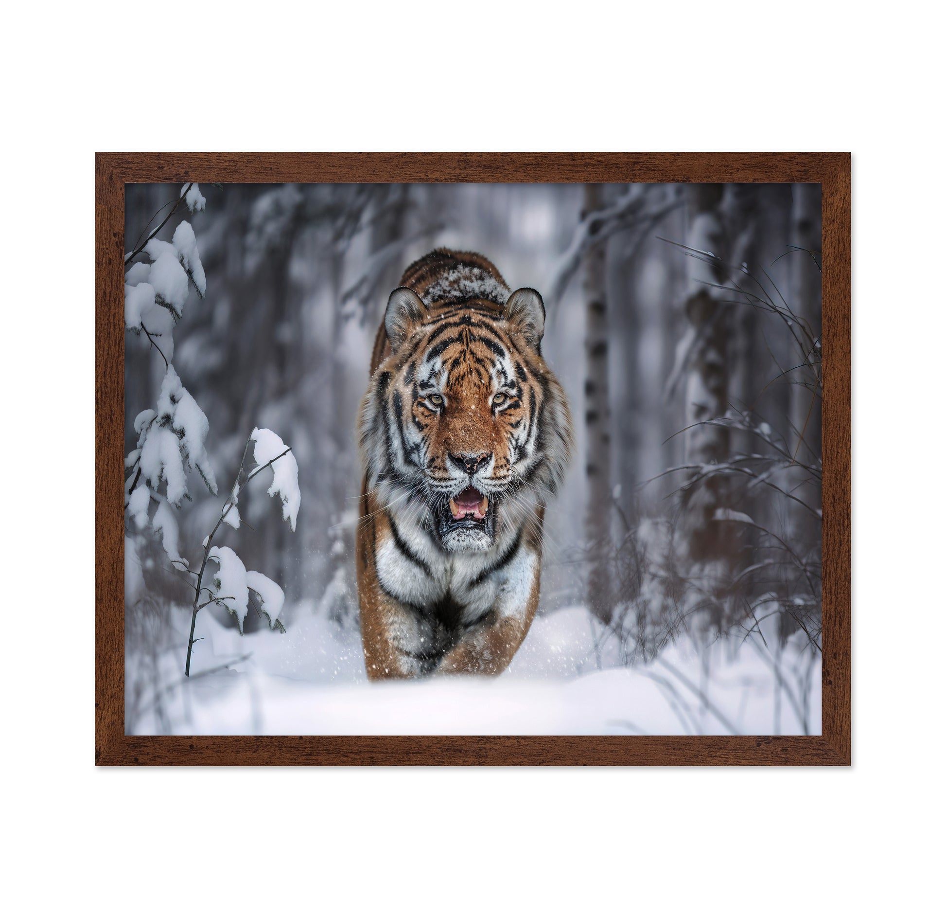 Tiger In Snow