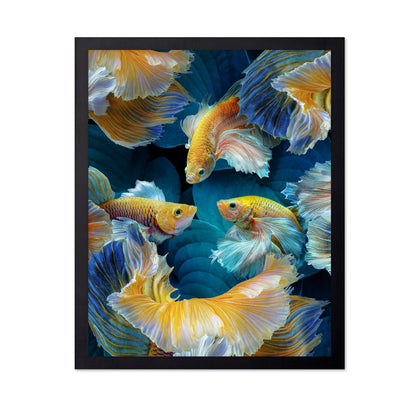 Colorful Betta Fish