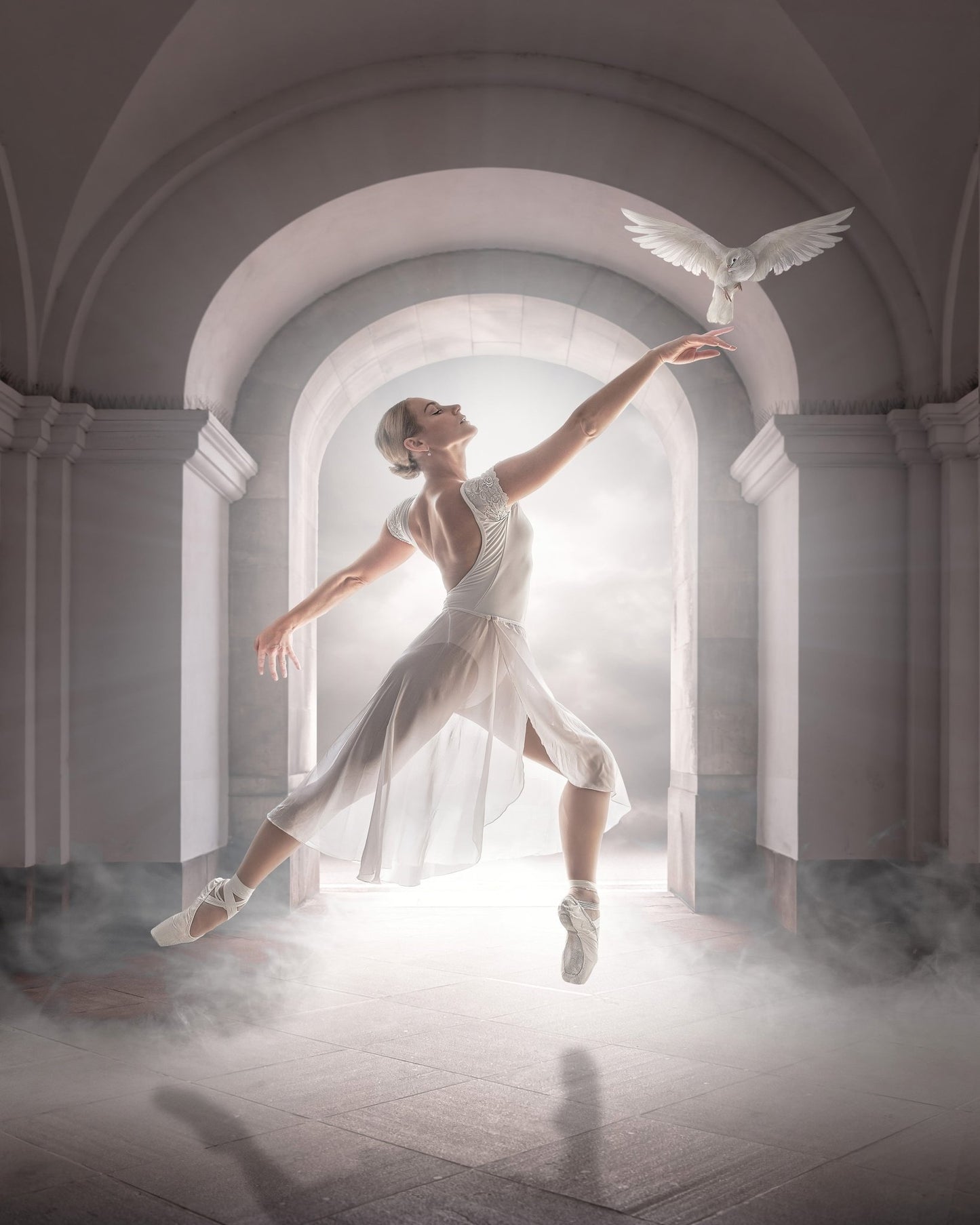 Ballet Dove Dance