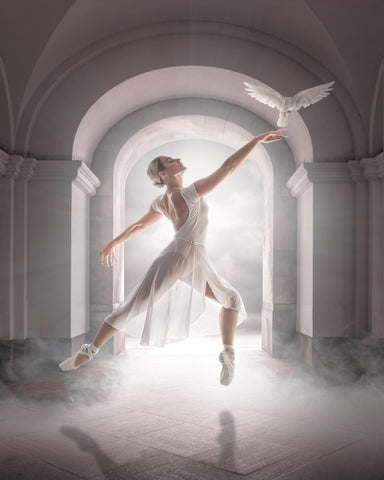 Ballet Dove Dance