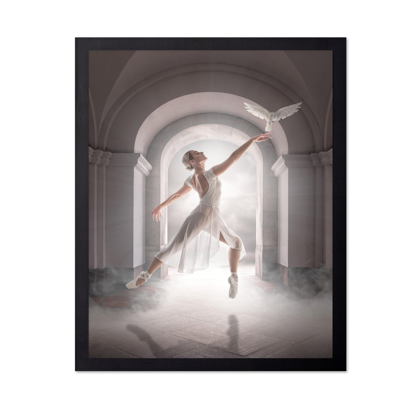 Ballet Dove Dance