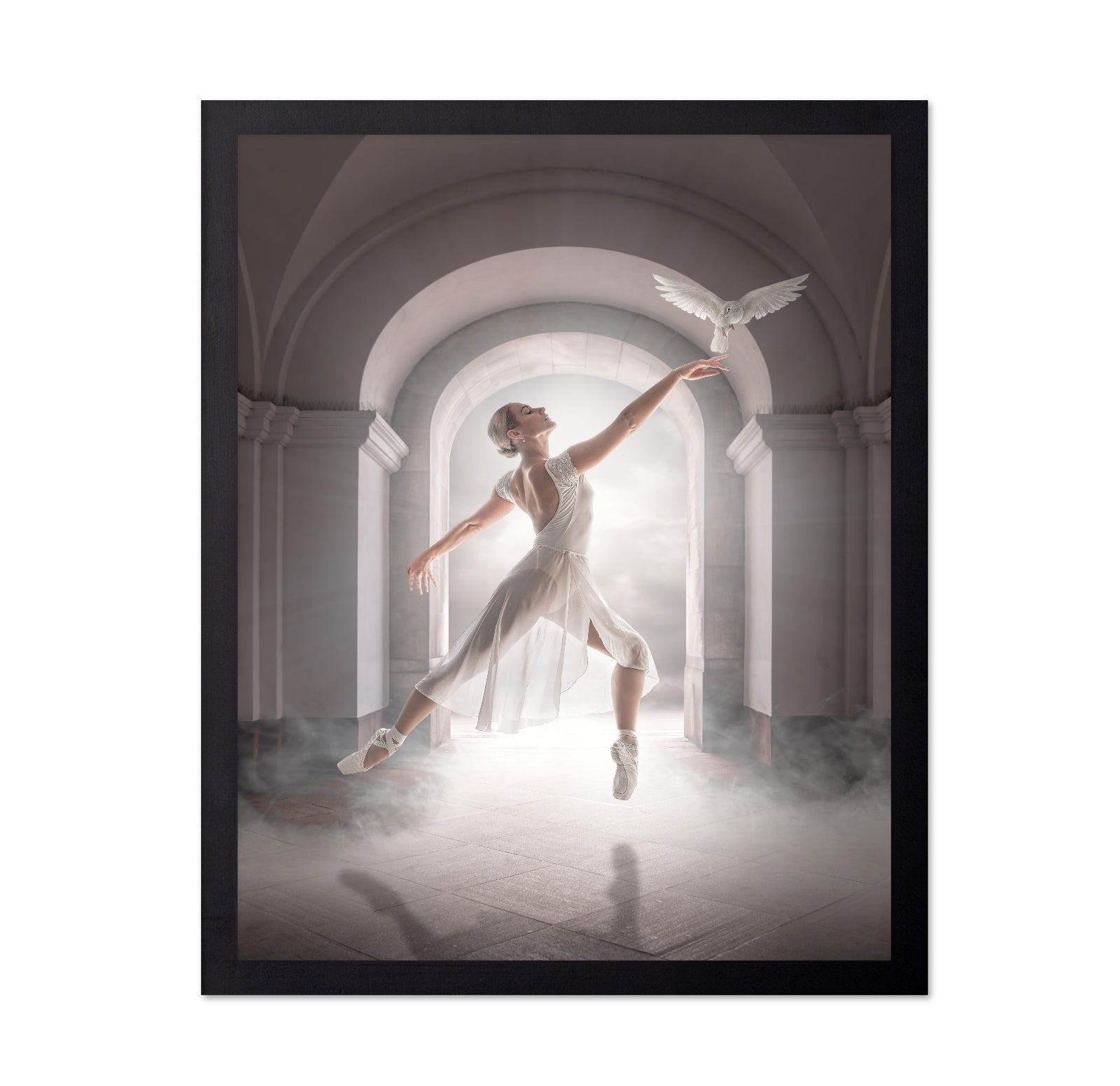 Ballet Dove Dance
