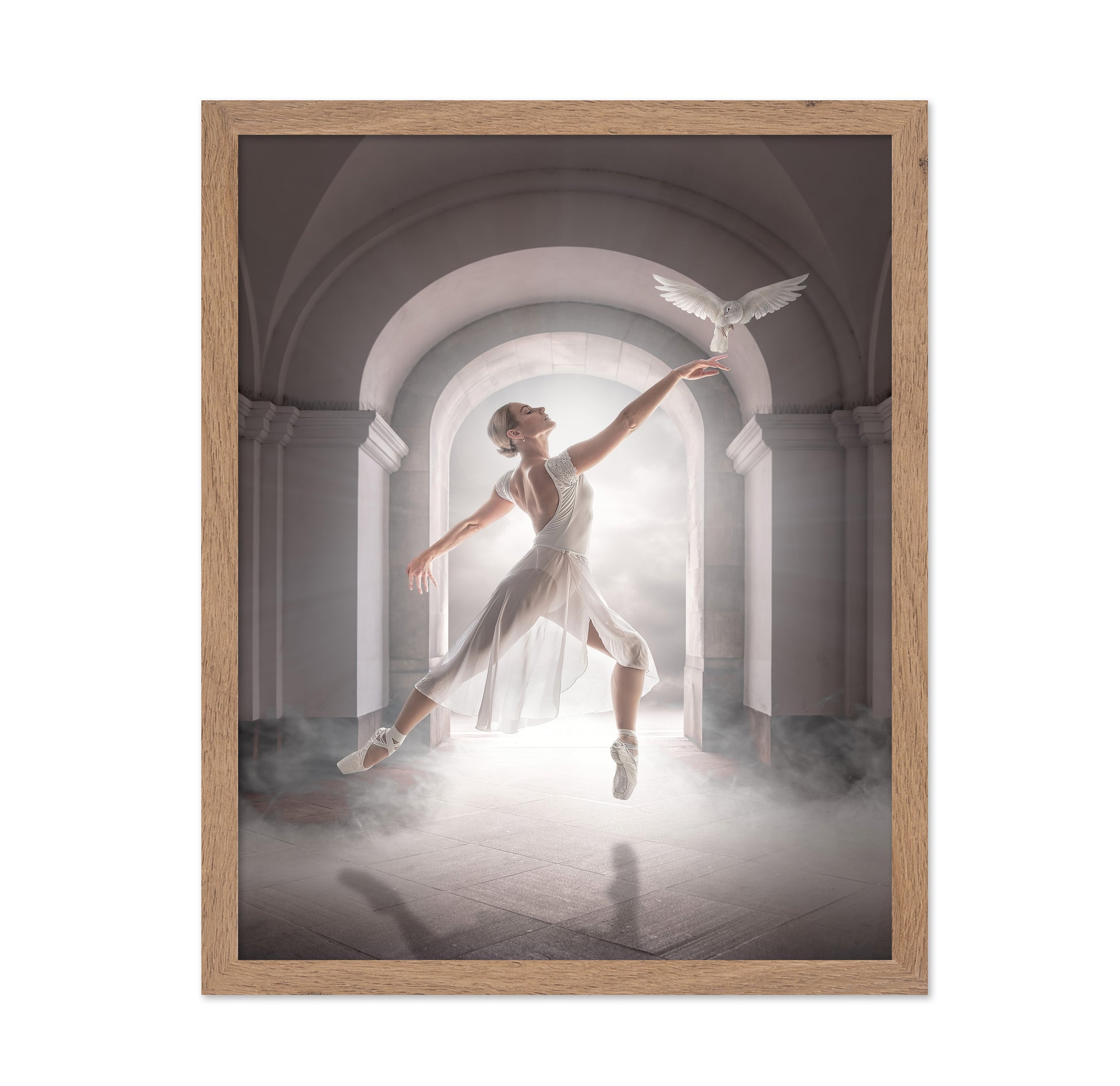 Ballet Dove Dance