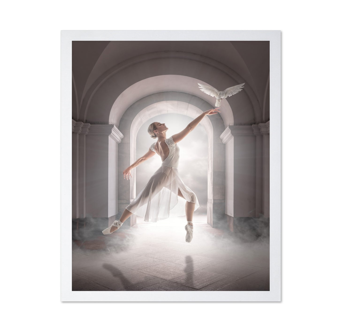 Ballet Dove Dance