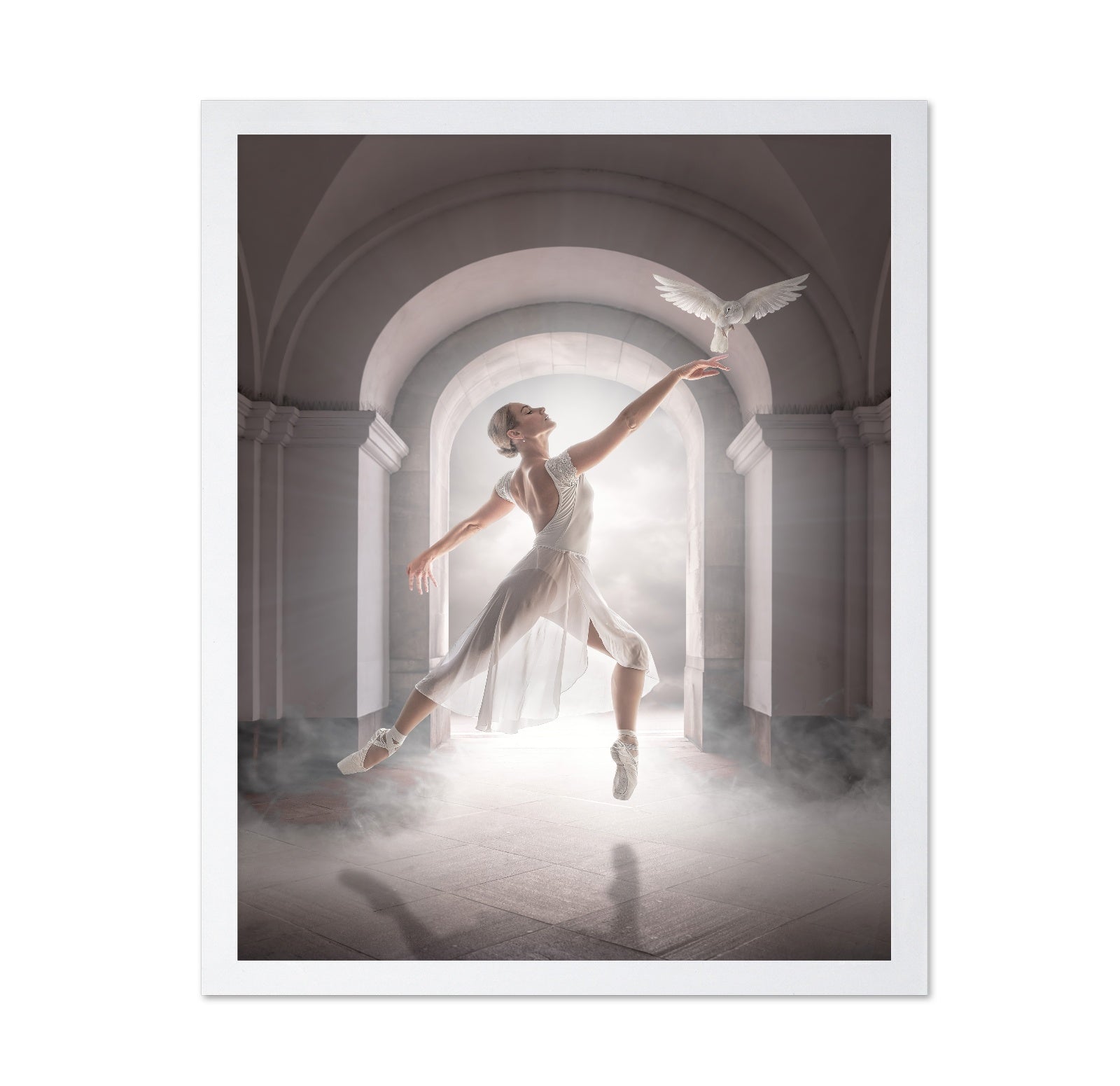 Ballet Dove Dance