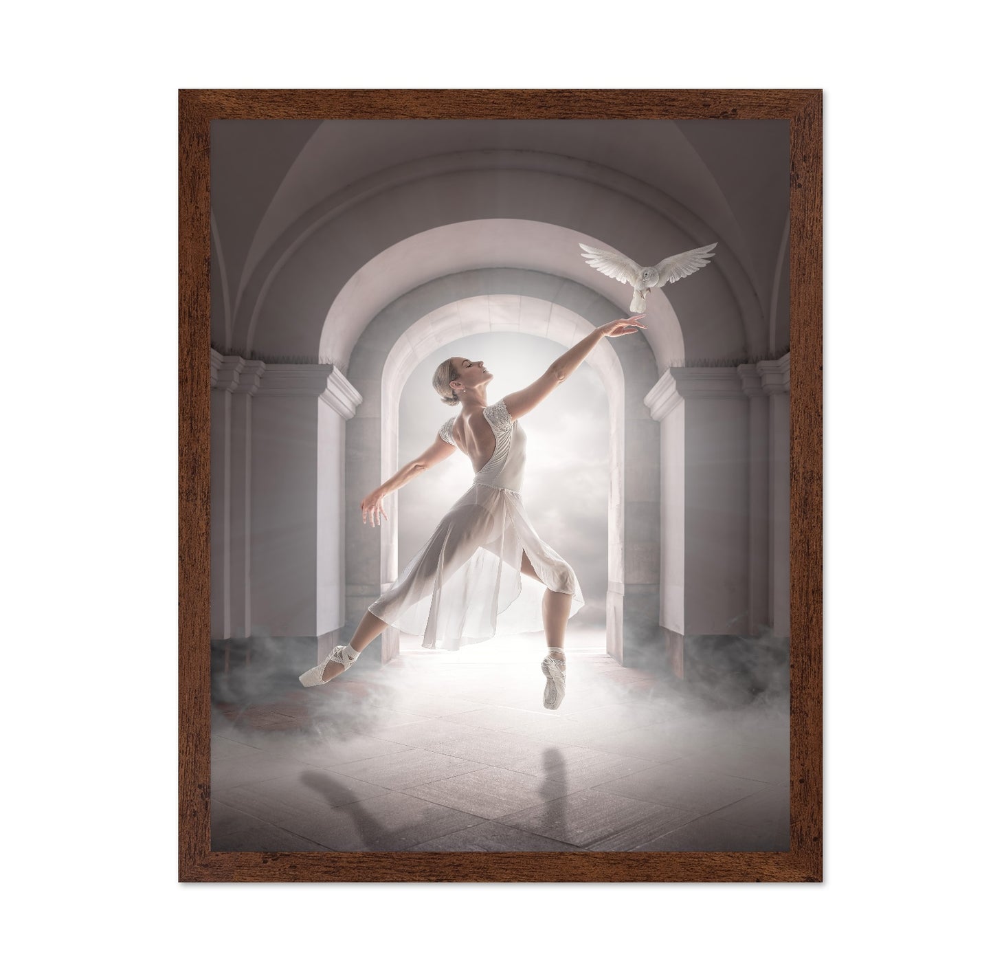 Ballet Dove Dance