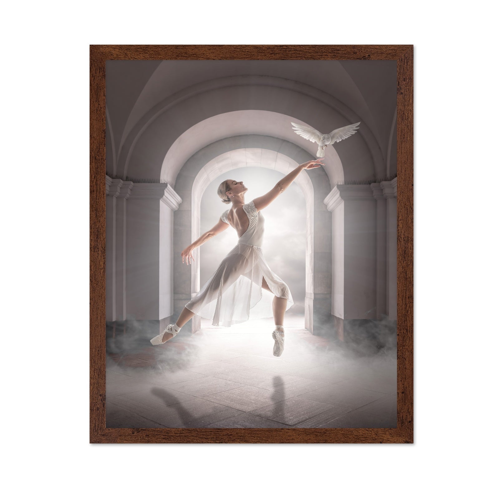 Ballet Dove Dance