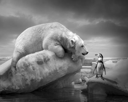 Polar Bear and Penguin