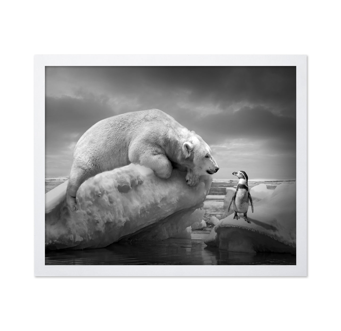 Polar Bear and Penguin