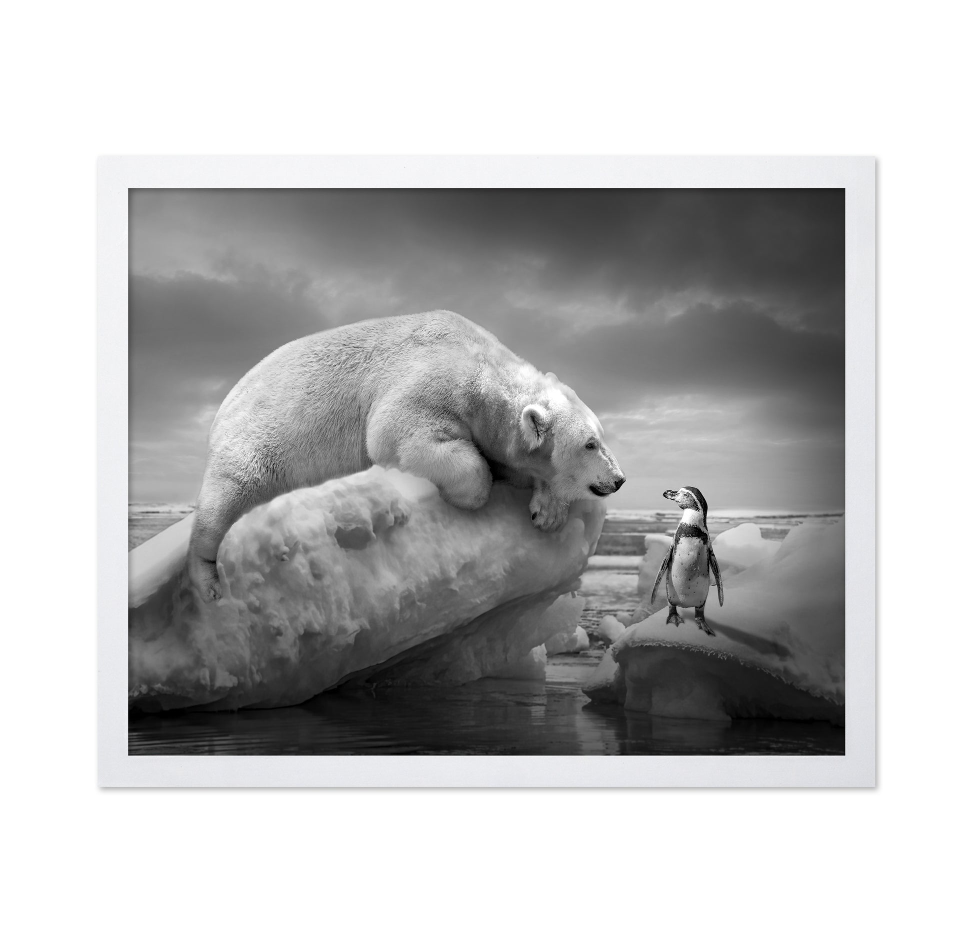 Polar Bear and Penguin