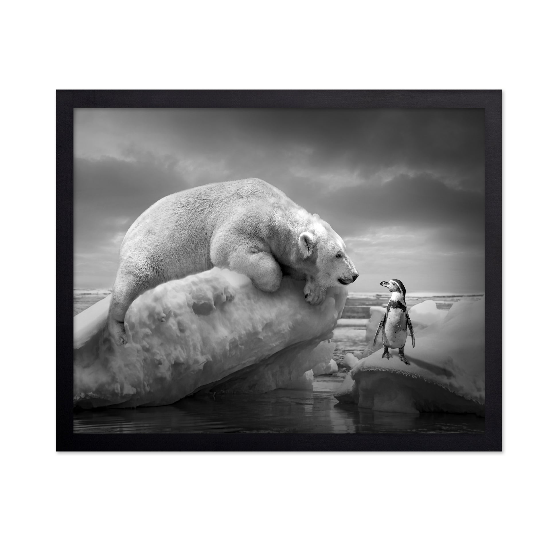 Polar Bear and Penguin