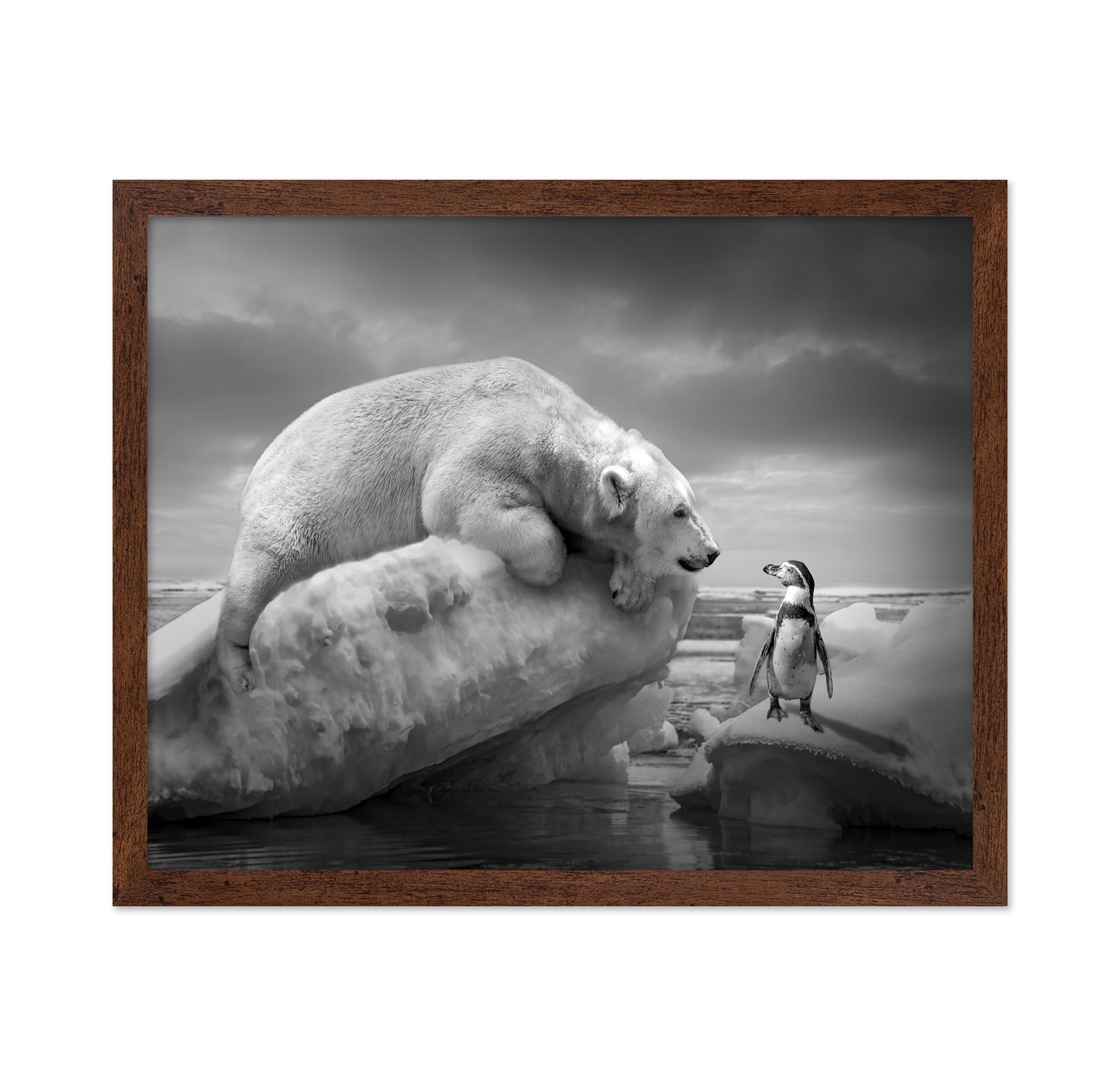 Polar Bear and Penguin
