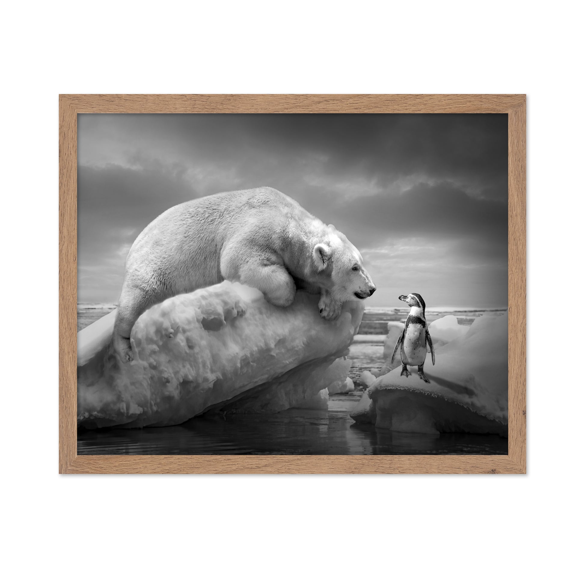 Polar Bear and Penguin