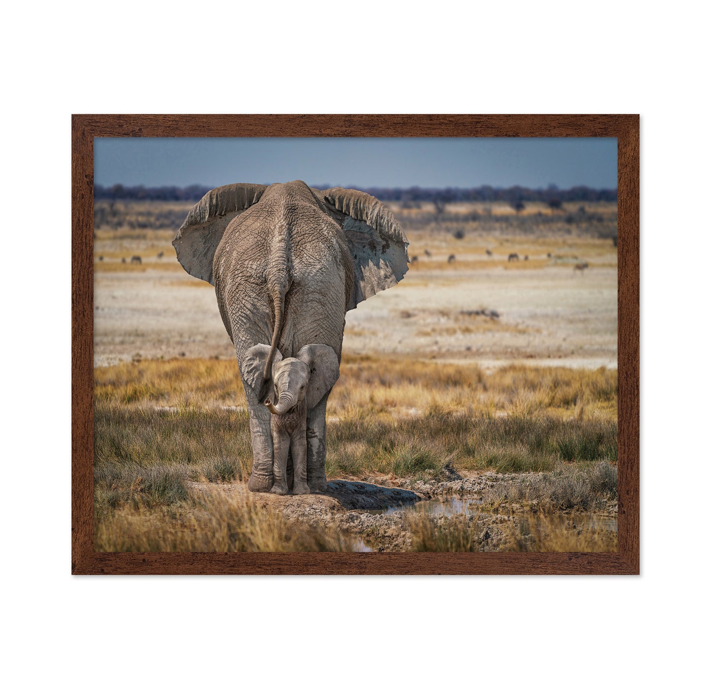 Mother and Baby Elephant