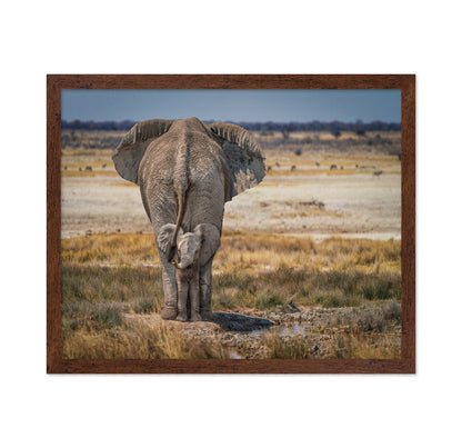 Mother and Baby Elephant
