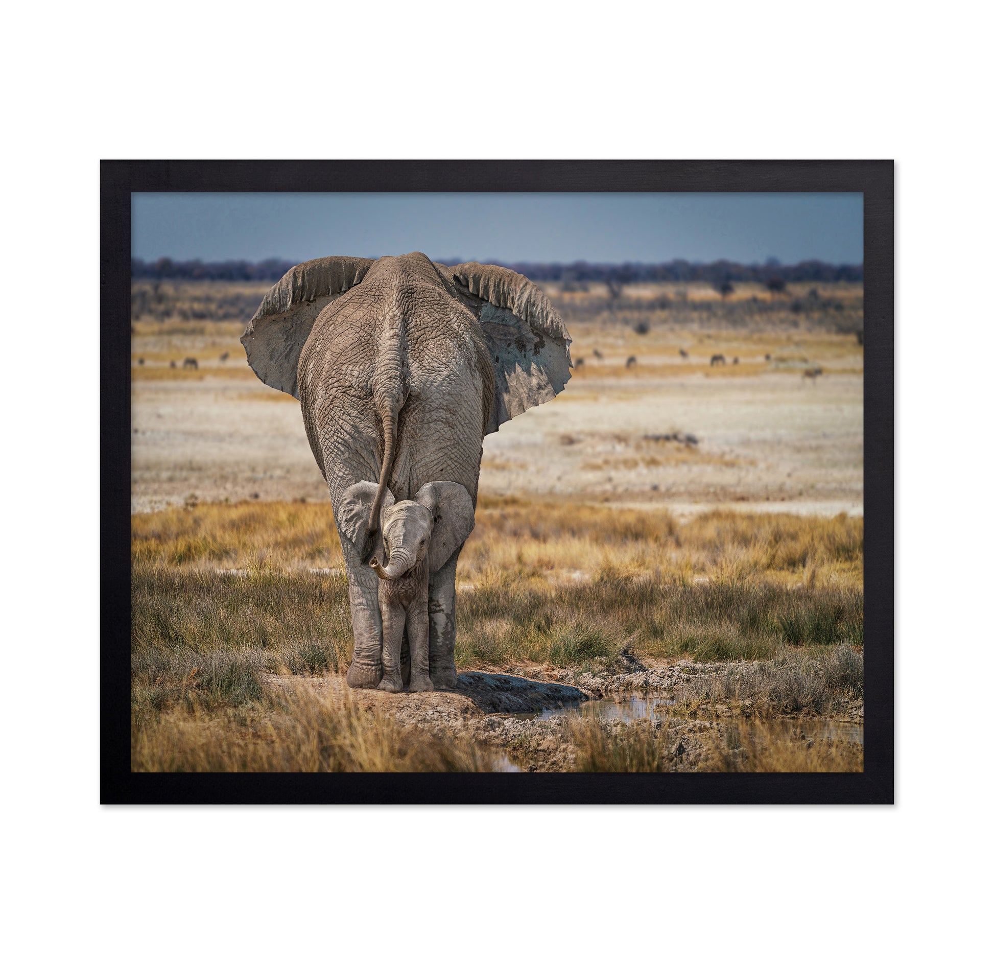 Mother and Baby Elephant