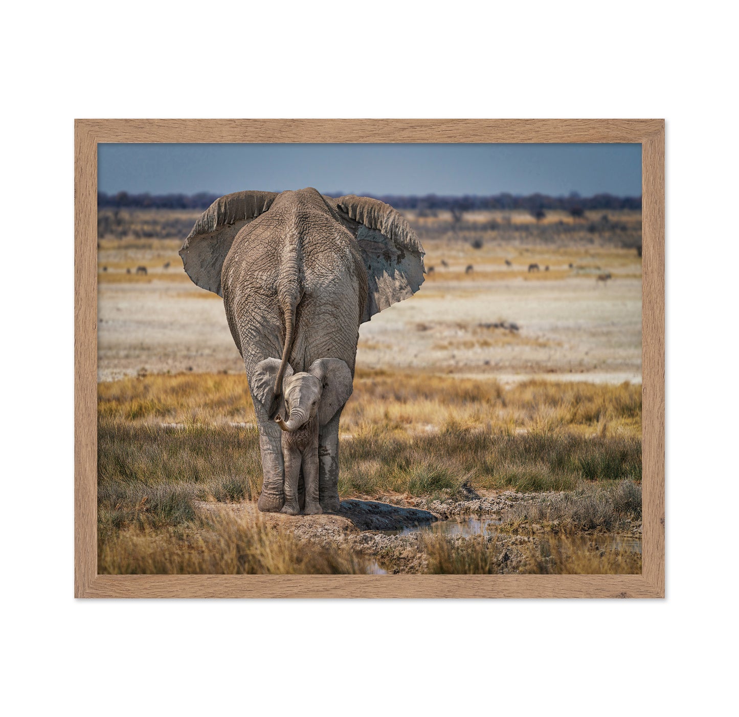 Mother and Baby Elephant