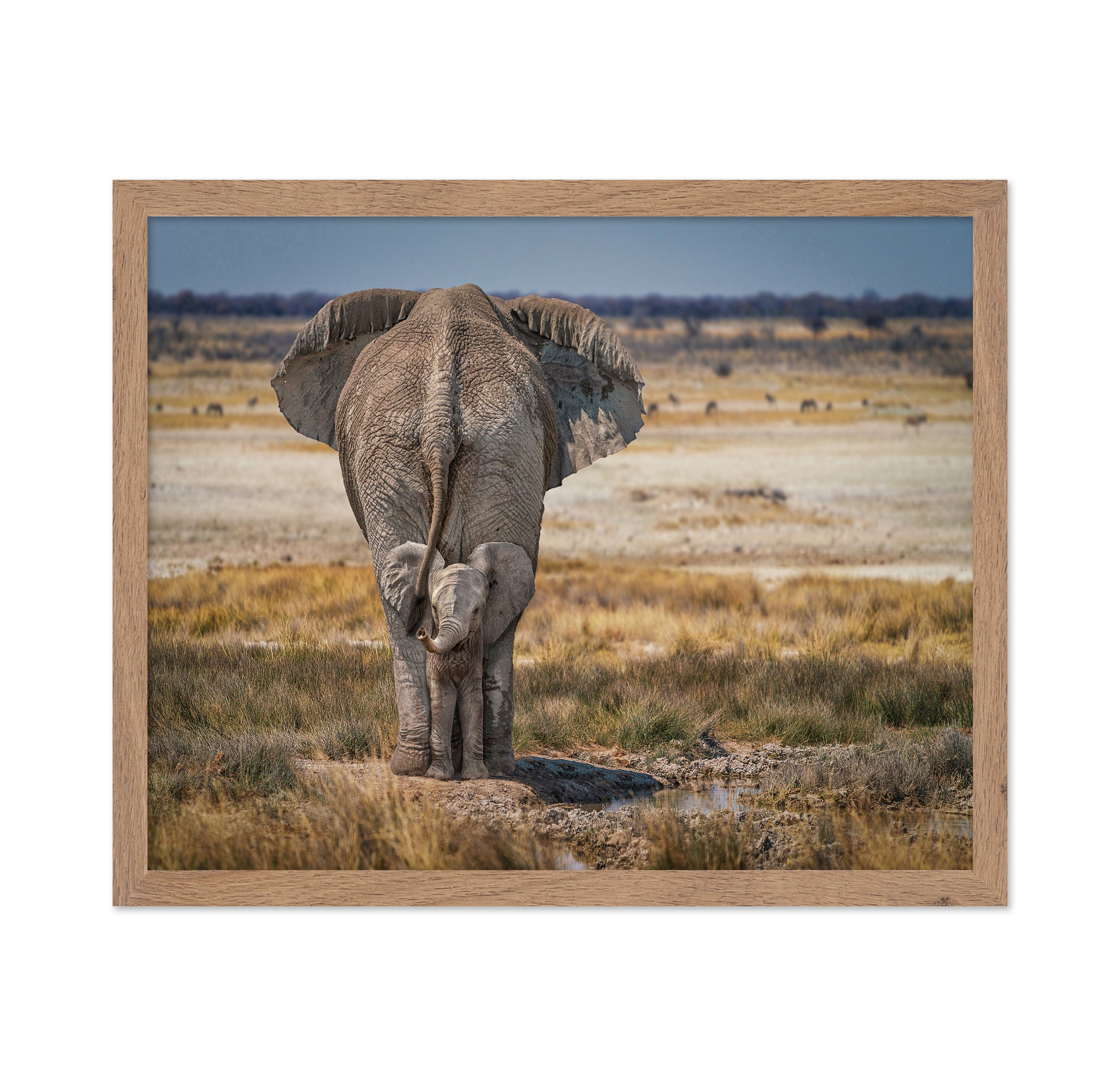 Mother and Baby Elephant