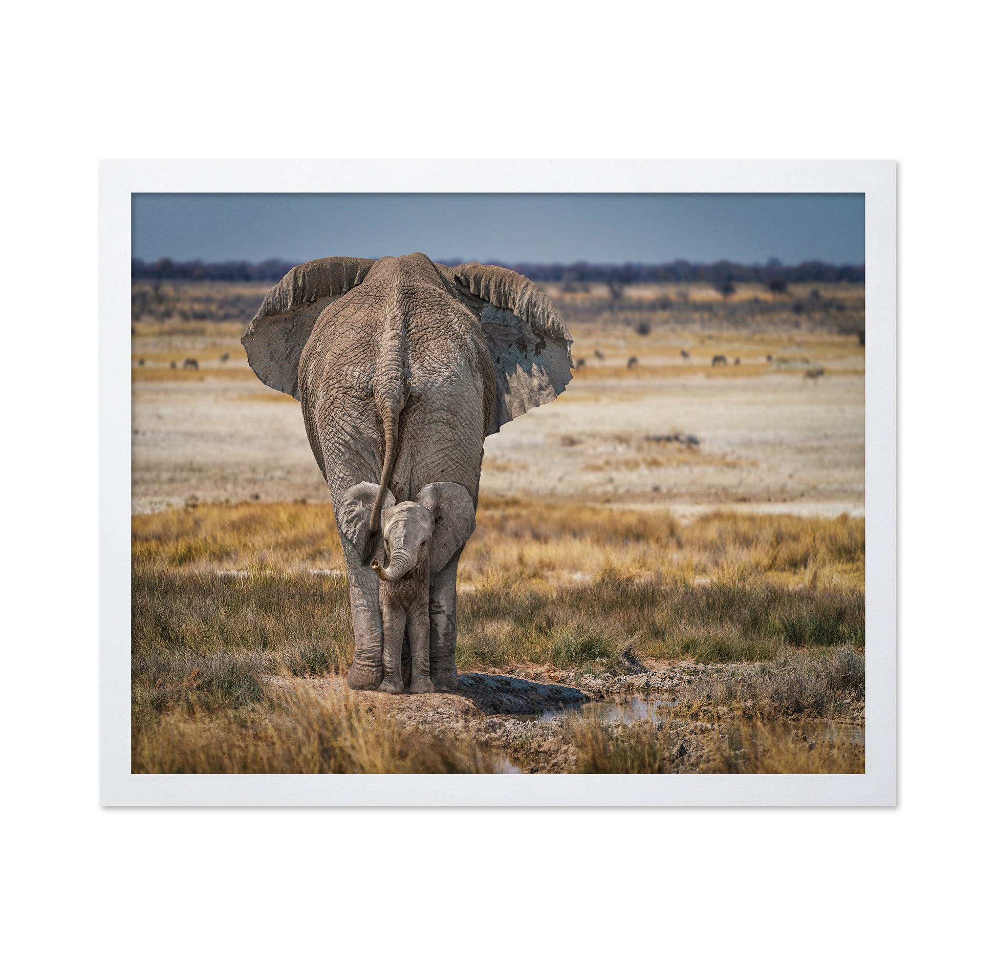 Mother and Baby Elephant