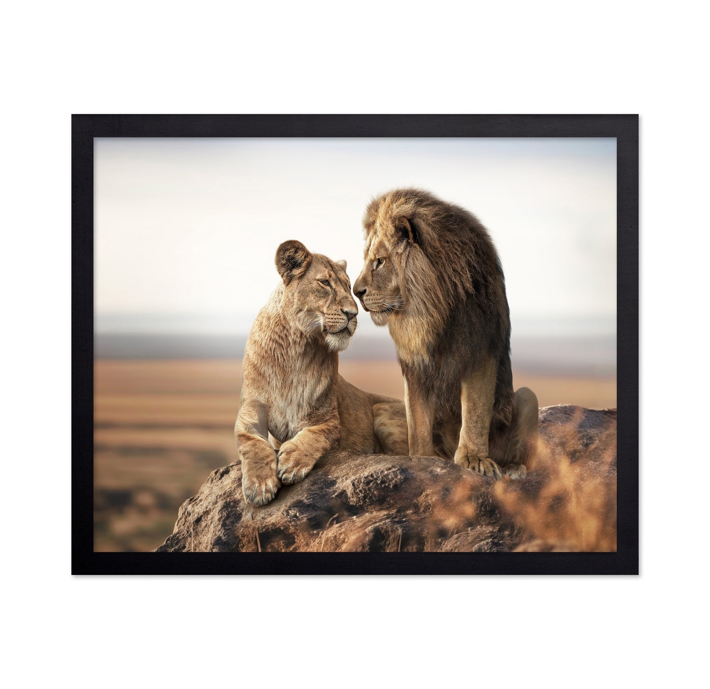 Lion Couple Bond No2