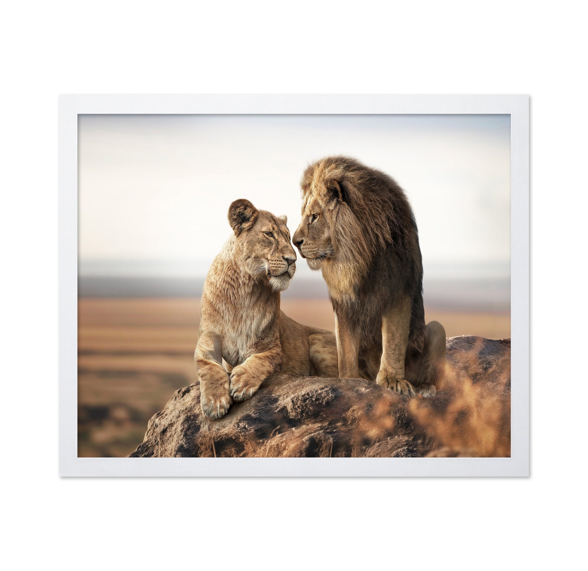 Lion Couple Bond No2