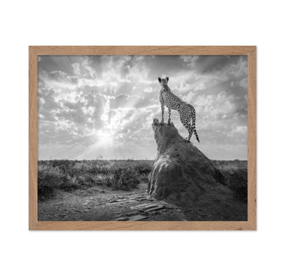 Cheetah Sunset Silhouette