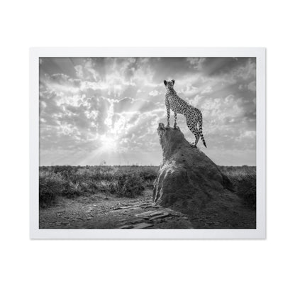 Cheetah Sunset Silhouette