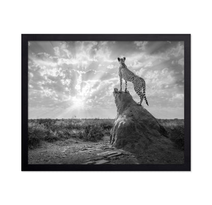 Cheetah Sunset Silhouette