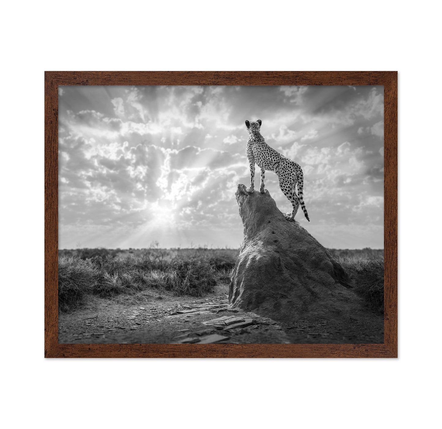 Cheetah Sunset Silhouette