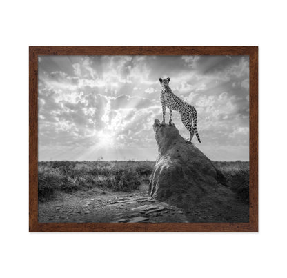 Cheetah Sunset Silhouette