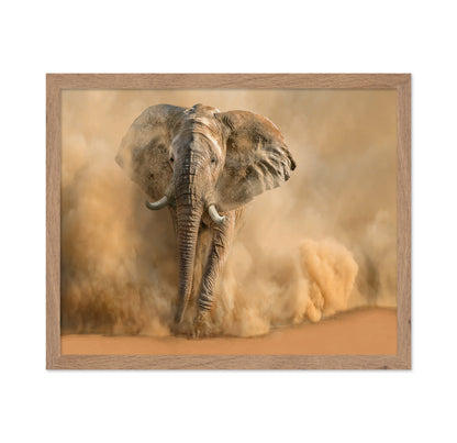 Charging Desert Elephant