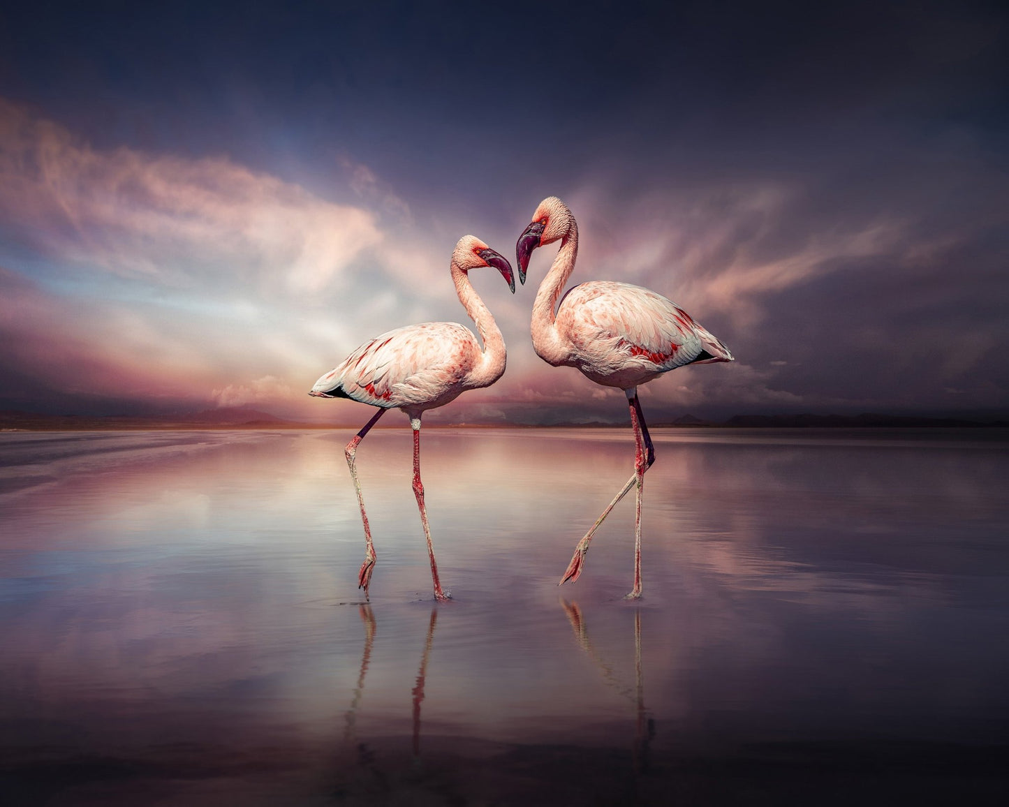 Flamingo Love Pair