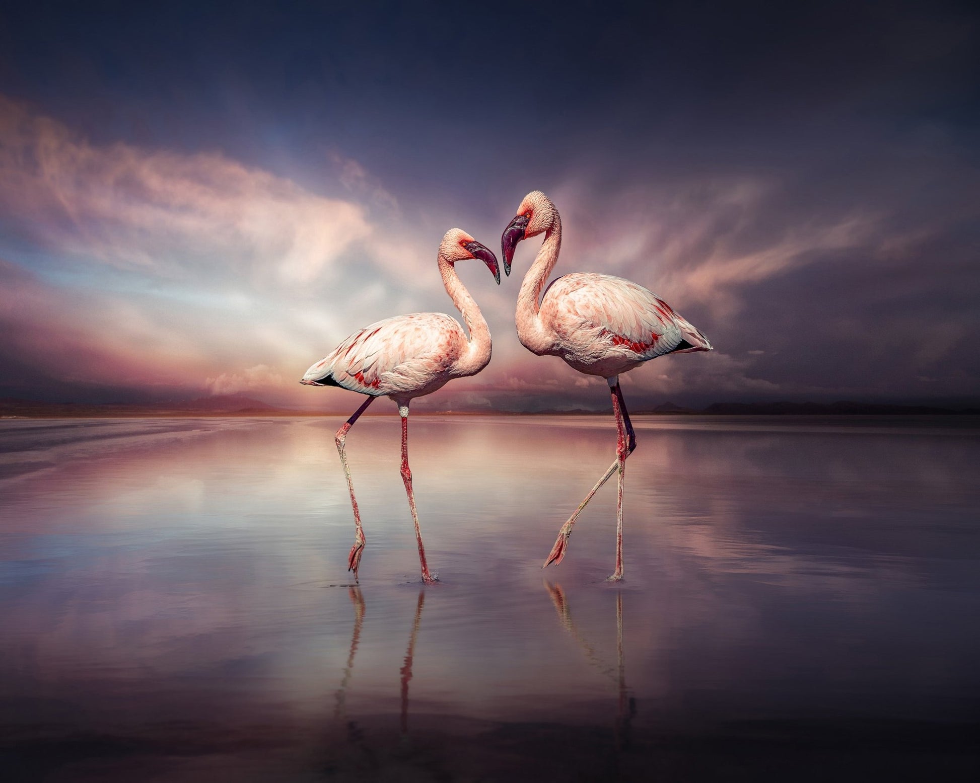 Flamingo Love Pair