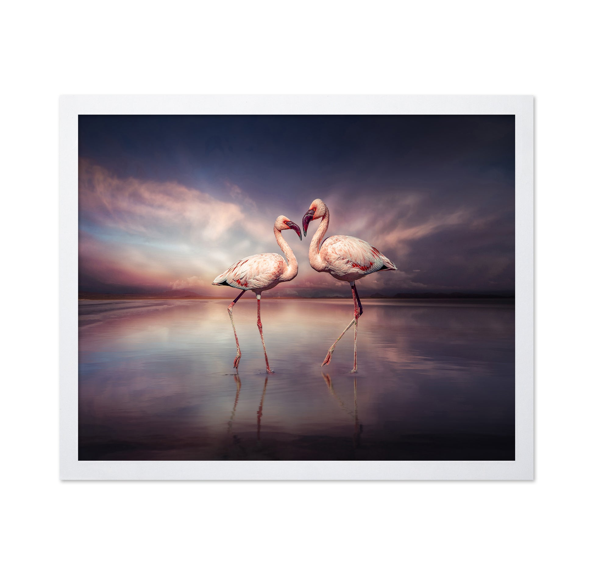 Flamingo Love Pair