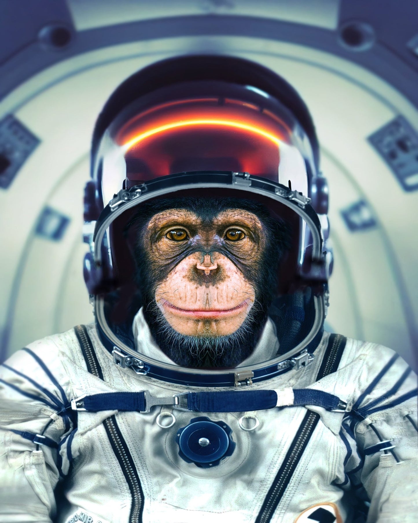 Astronaut Monkey Portrait