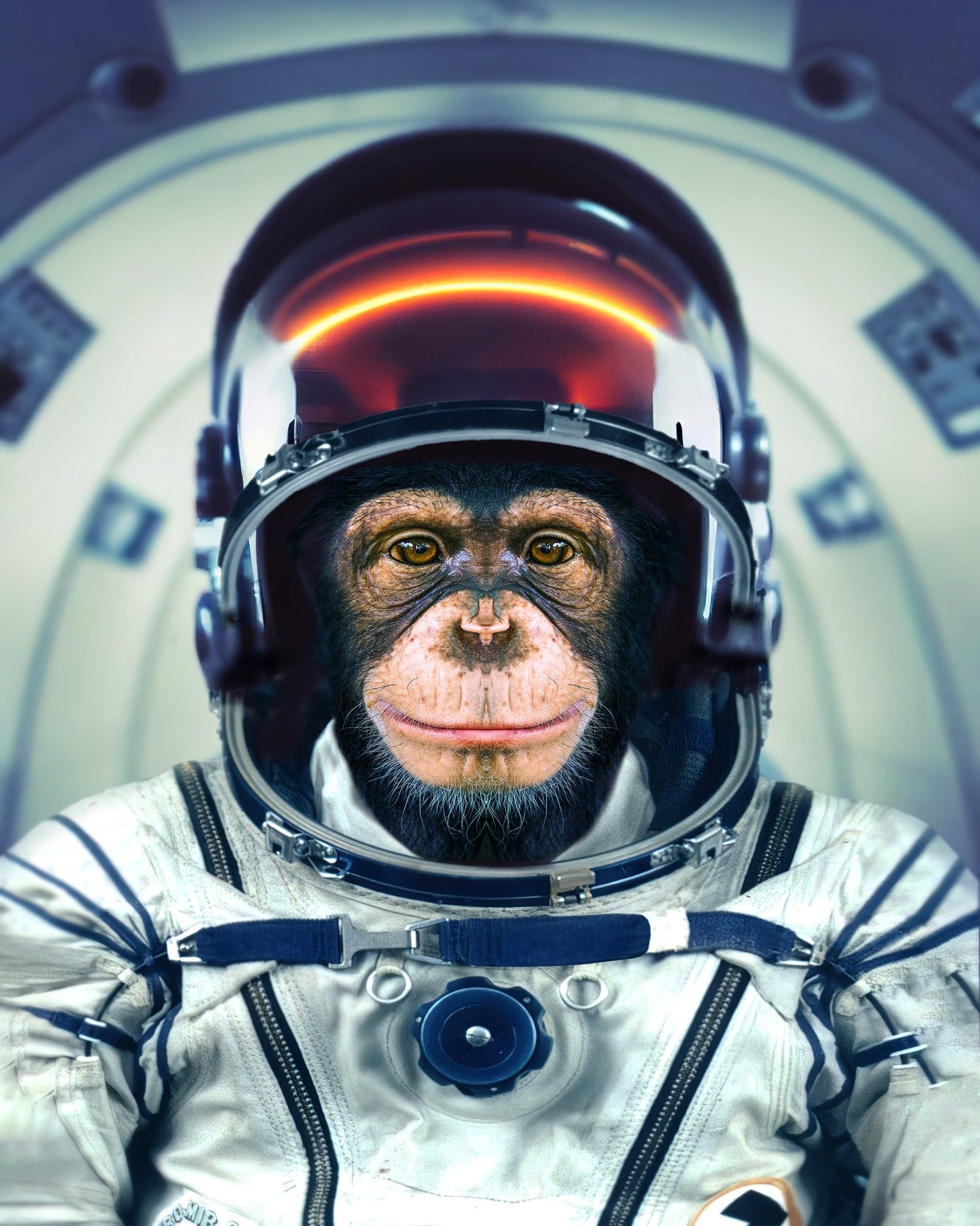 Astronaut Monkey Portrait