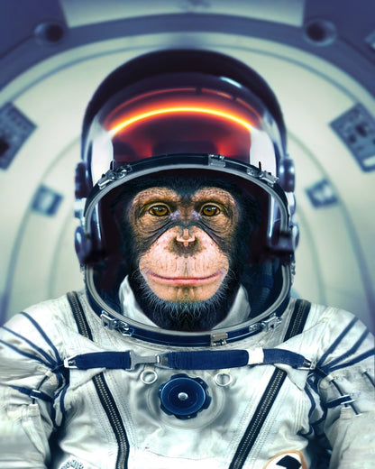 Astronaut Monkey Portrait