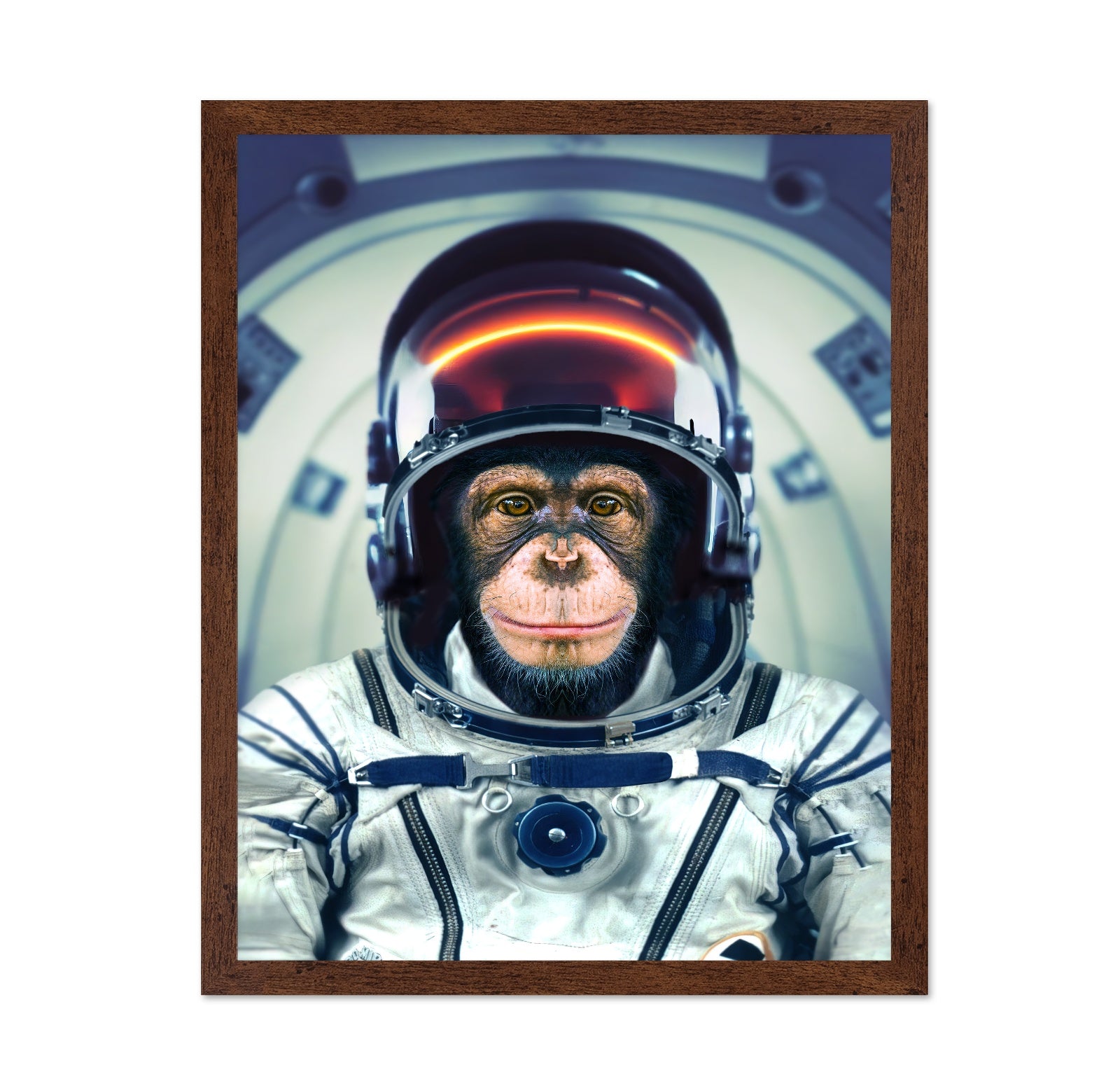 Astronaut Monkey Portrait