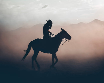 Cowboy Horse Silhouette