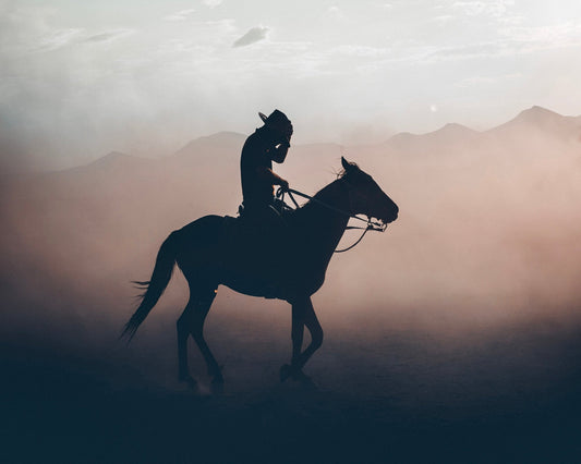 Cowboy Horse Silhouette