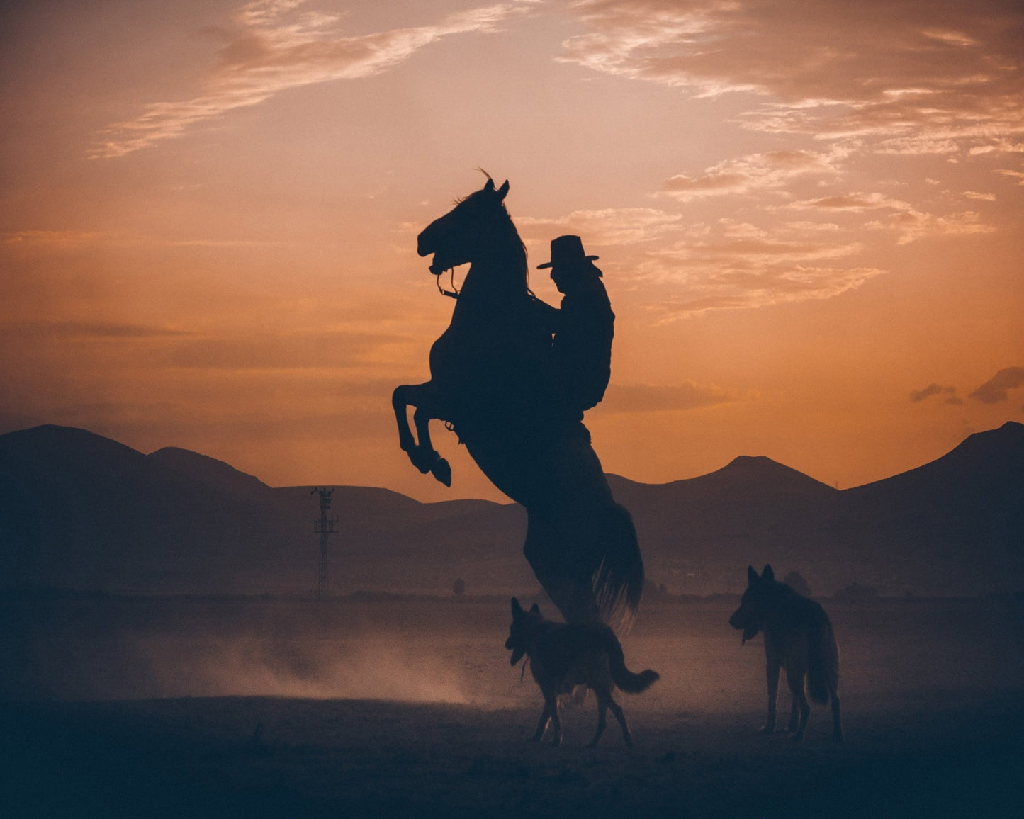 Rearing Horse Sunset