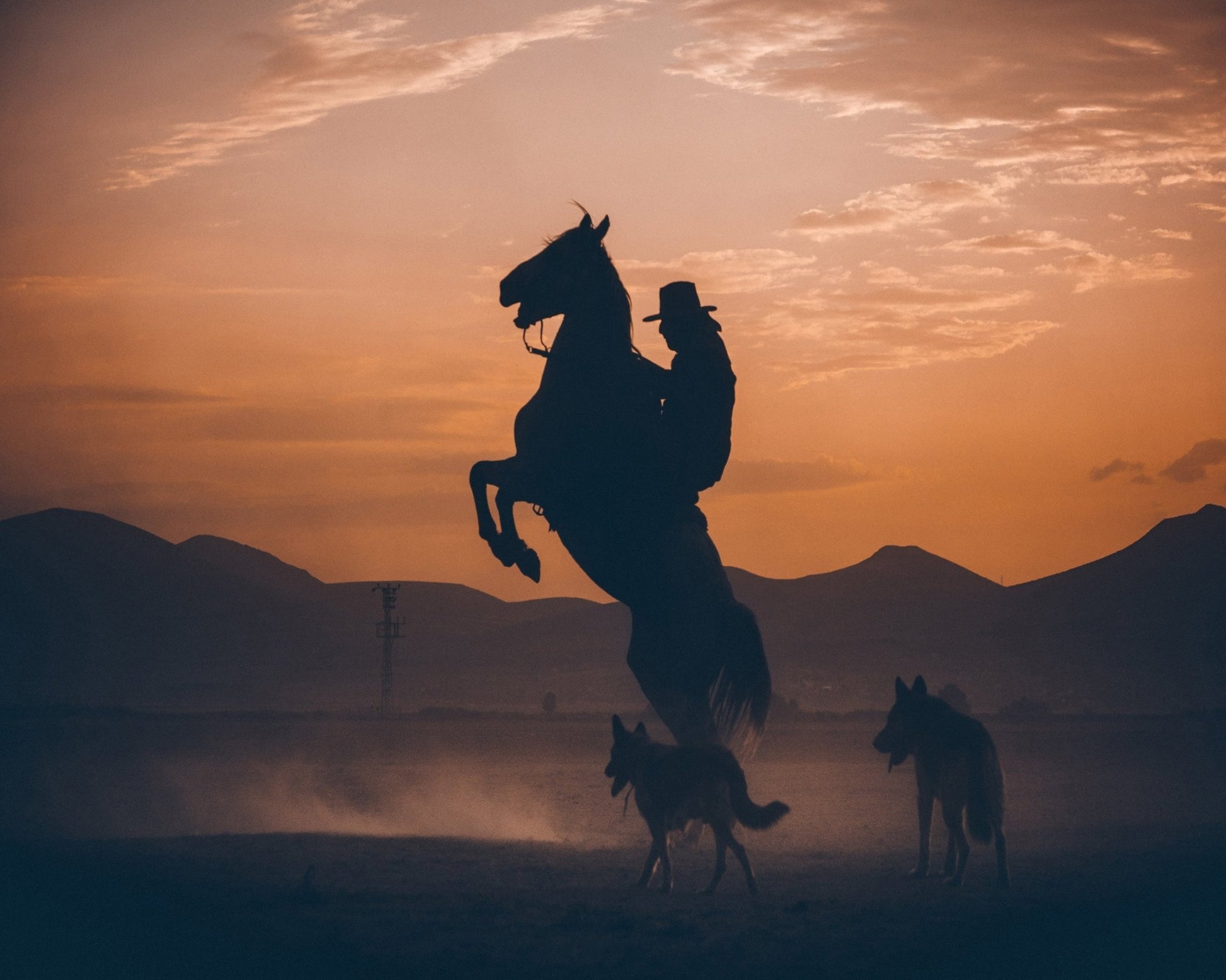 Rearing Horse Sunset
