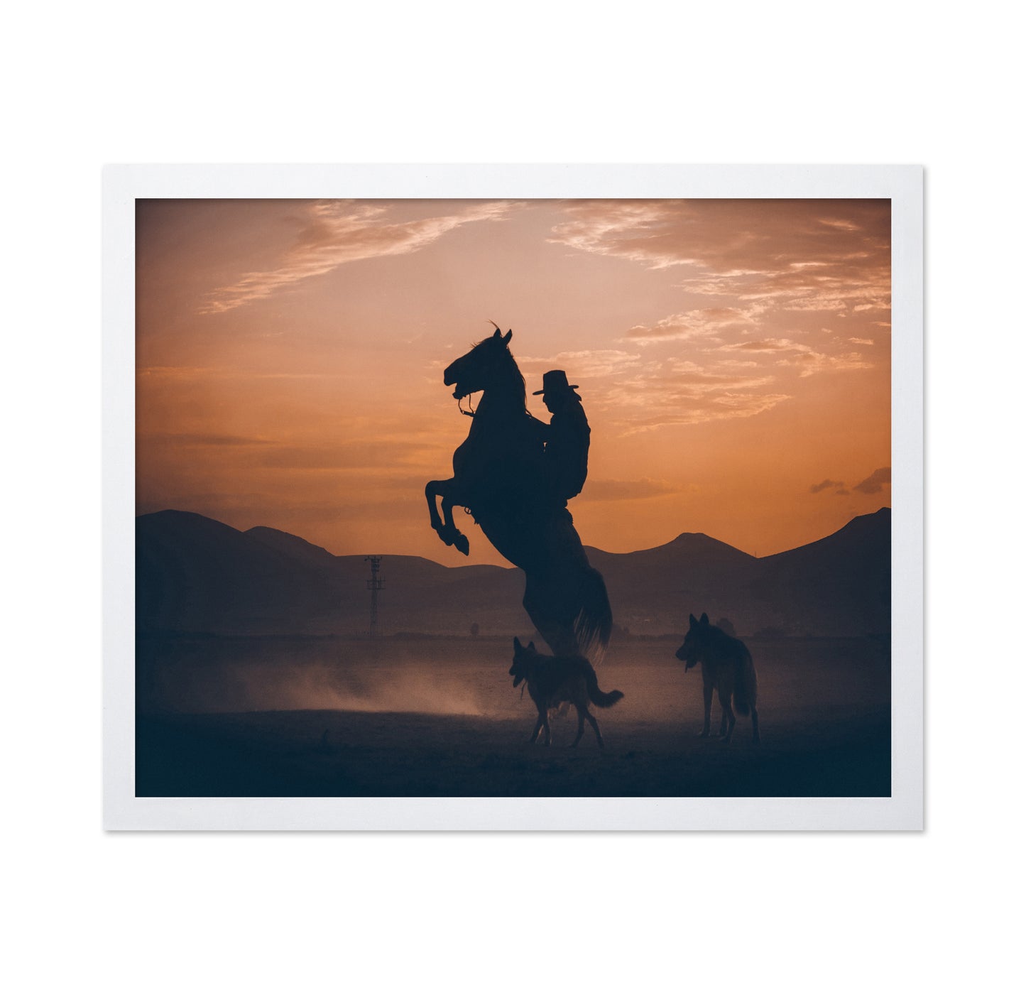 Rearing Horse Sunset