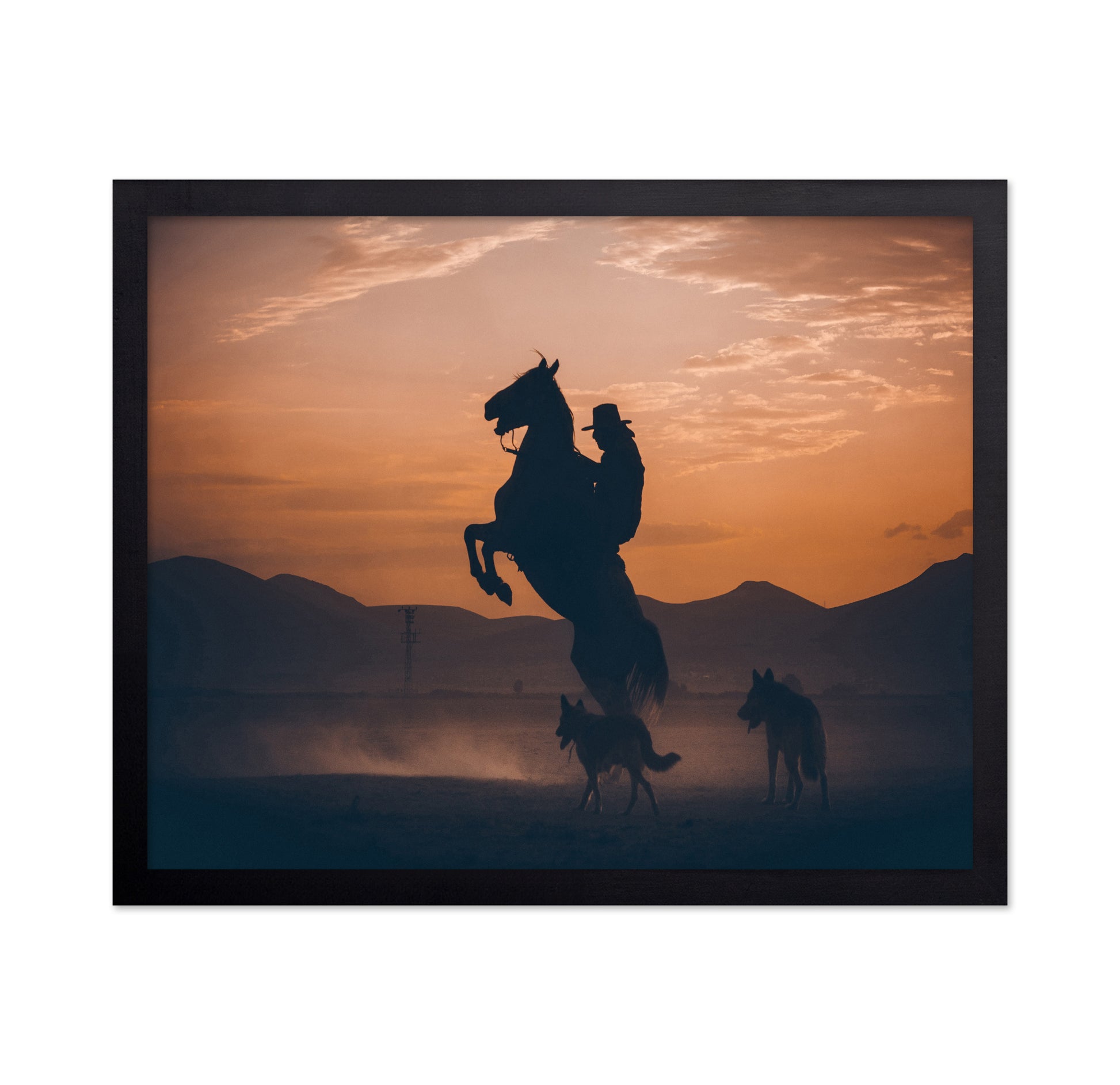 Rearing Horse Sunset