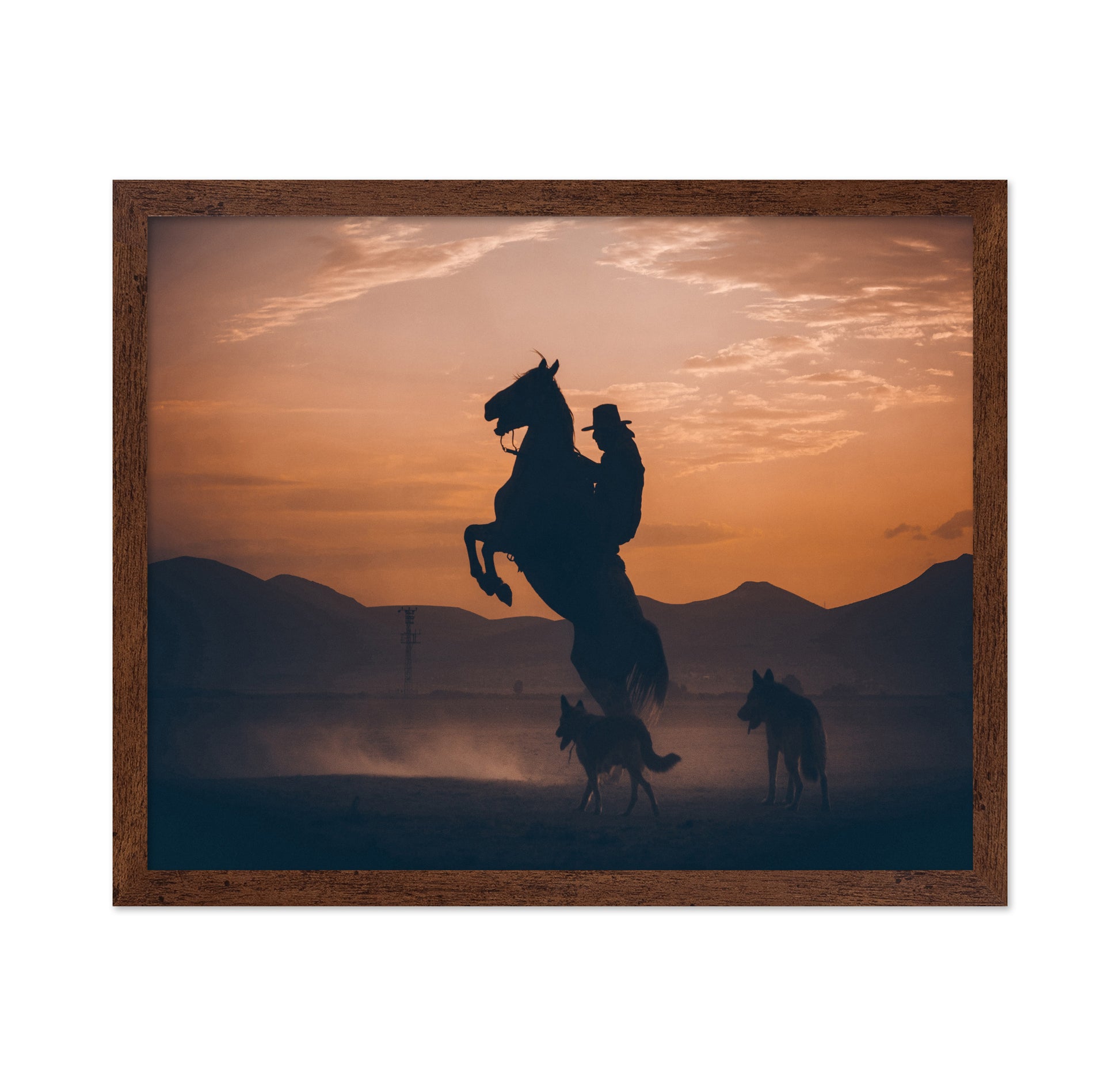 Rearing Horse Sunset