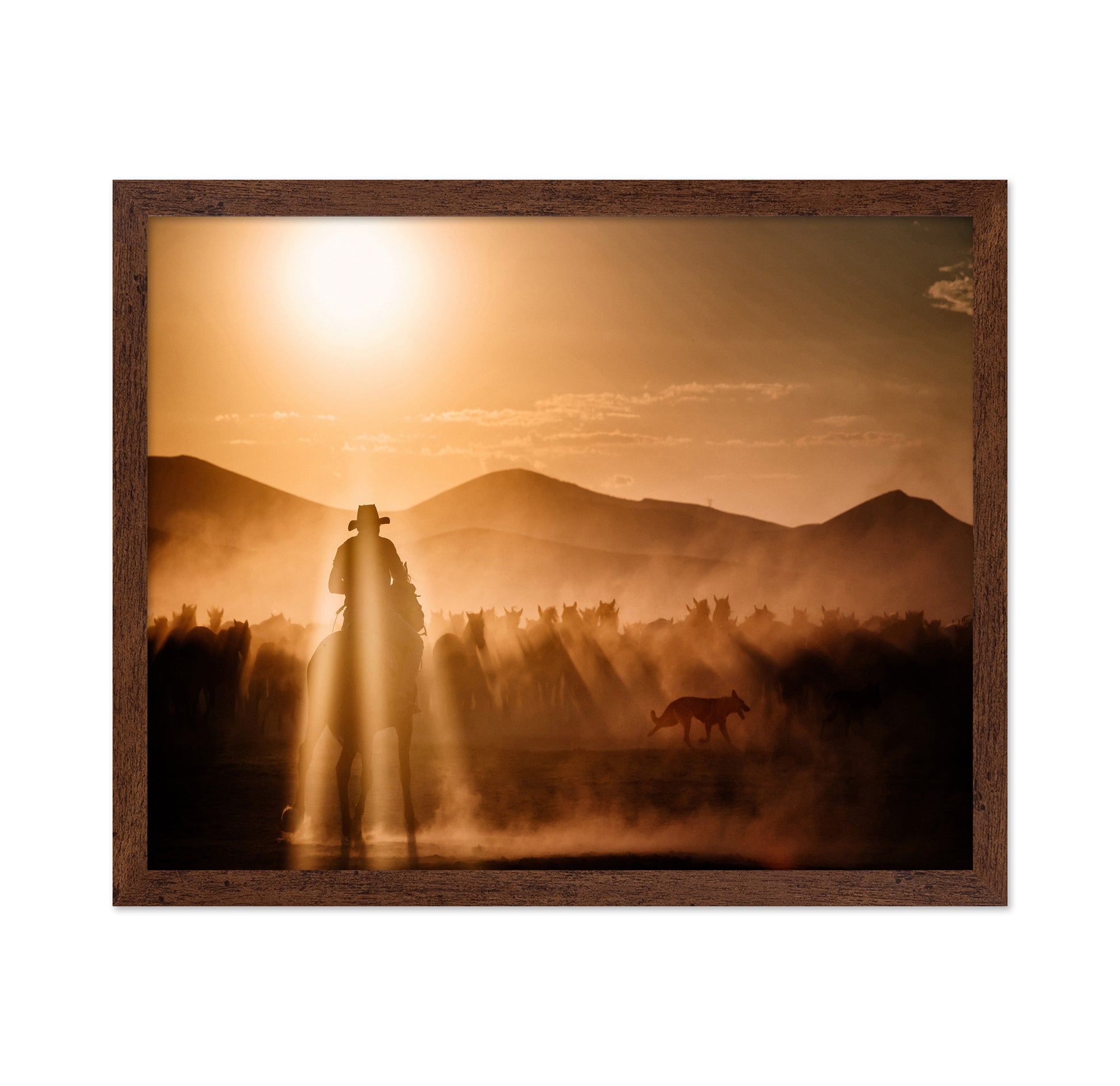 Cowboy Herd Sunset No1