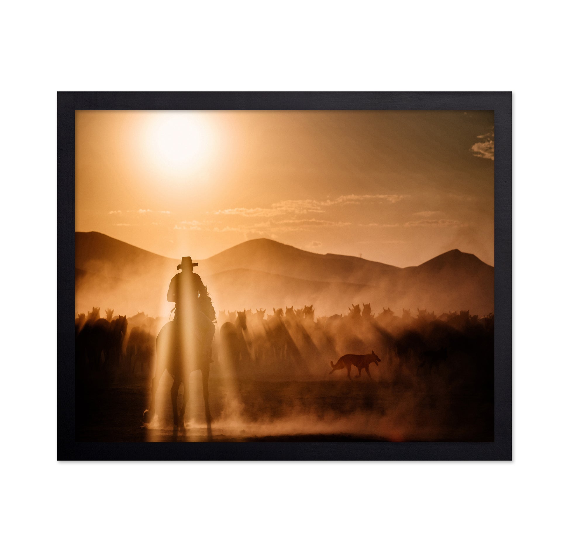 Cowboy Herd Sunset No1